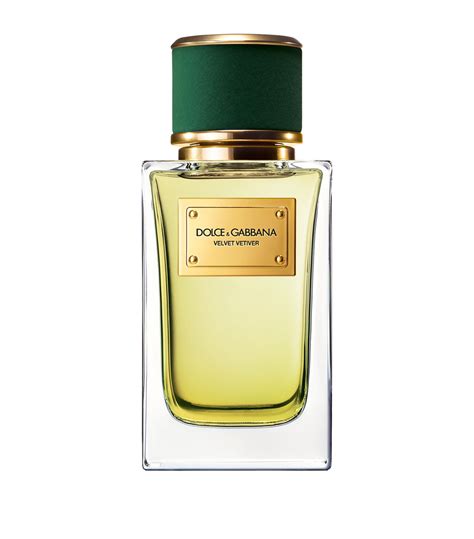 dolce gabbana velvet vetiver fiyat|dolce gabbana velvet bergamot.